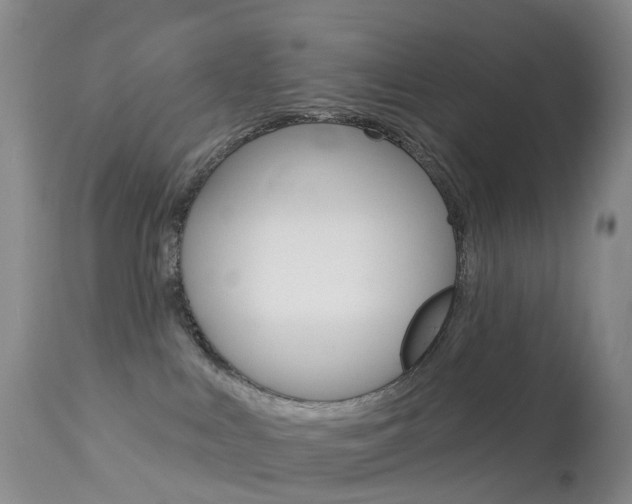 X0000113960043200909251037