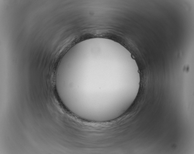 X0000113960044200909251037