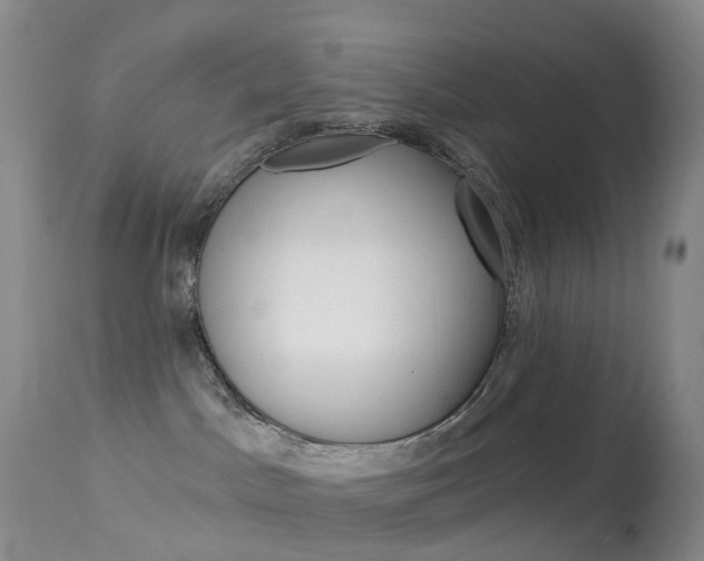 X0000113960045200909251037