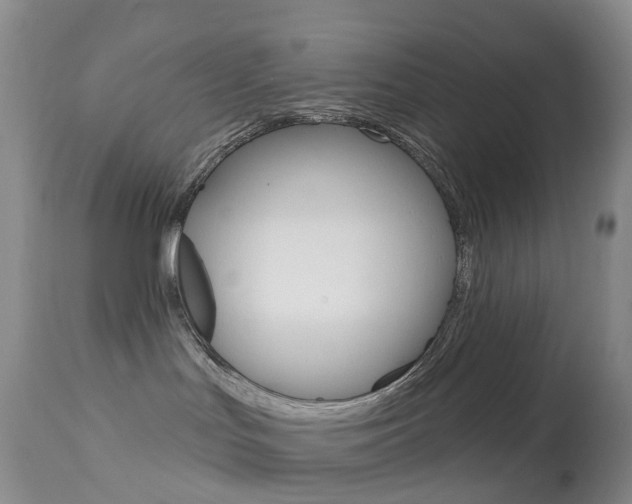 X0000113960047200909251037