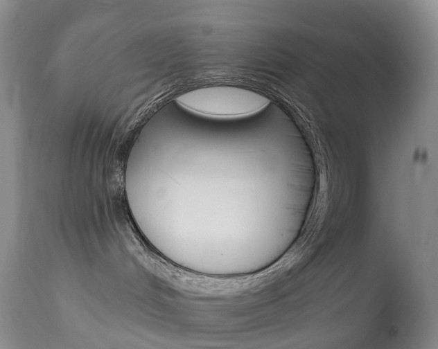X0000113960048200909251037