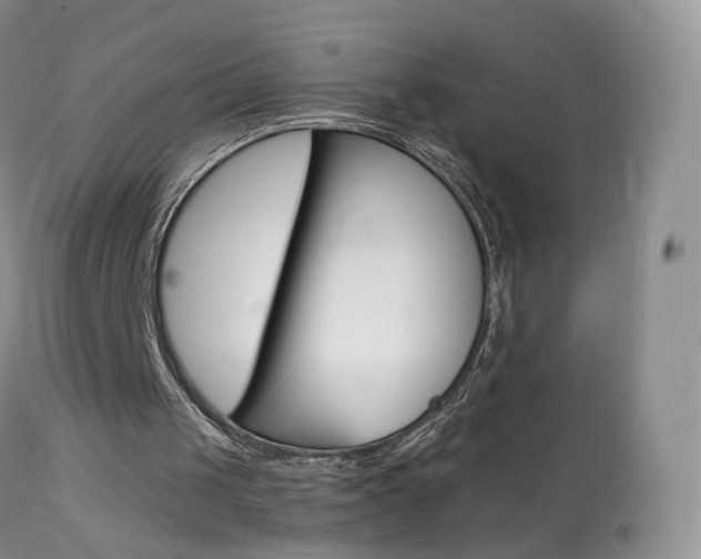 X0000113960049200909251036