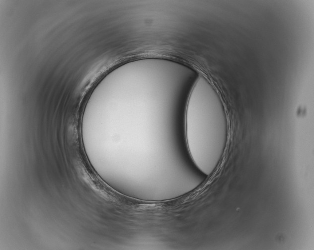 X0000113960050200909251036