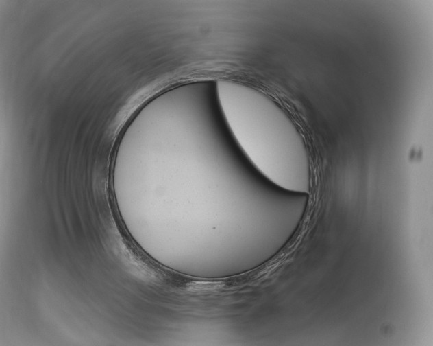 X0000113960051200909251036