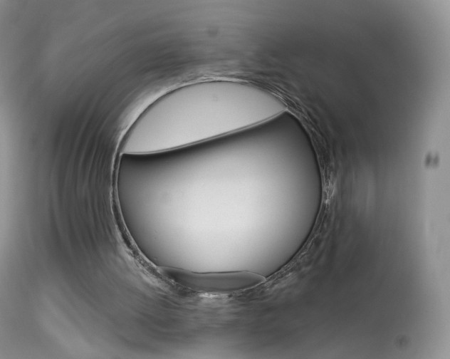 X0000113960052200909251036
