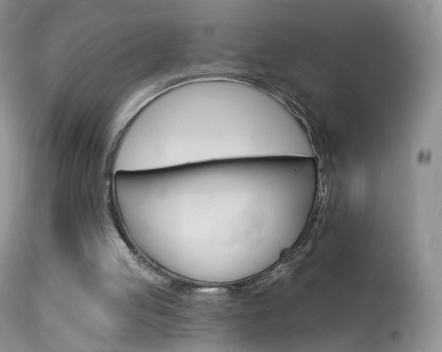 X0000113960053200909251036