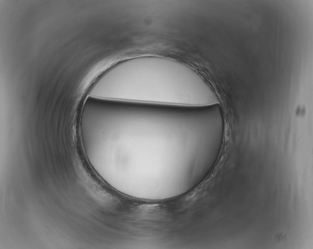 X0000113960054200909251036