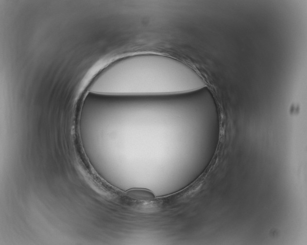 X0000113960056200909251036
