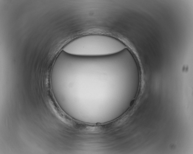 X0000113960057200909251036