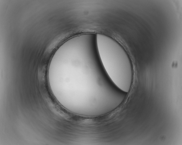 X0000113960058200909251036