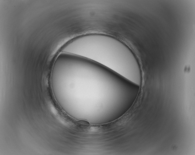 X0000113960060200909251036