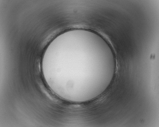 X0000113960061200909251036