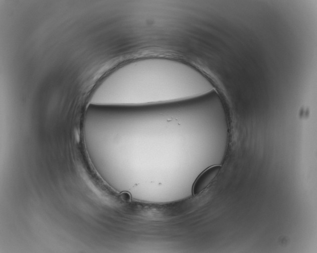 X0000113960062200909251036