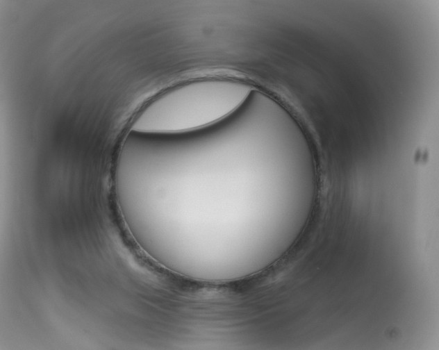 X0000113960063200909251036