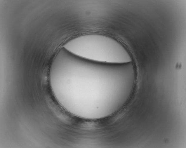 X0000113960065200909251036