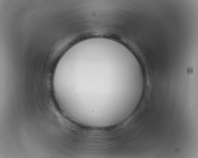 X0000113960066200909251036