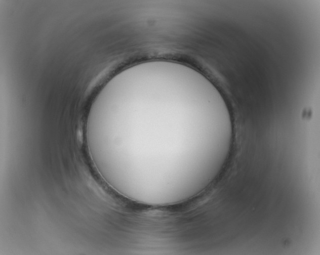 X0000113960067200909251036