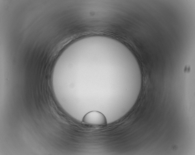 X0000113960068200909251036