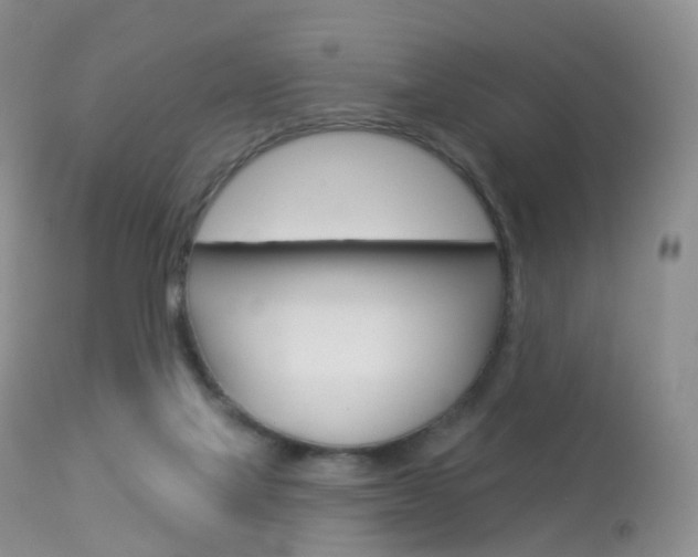 X0000113960069200909251036