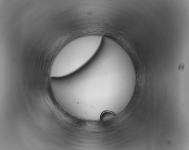 X0000113960070200909251036