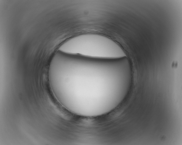 X0000113960071200909251036