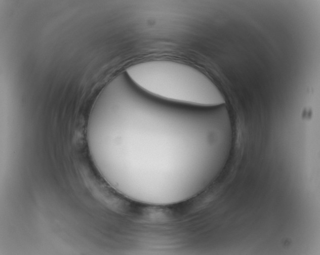 X0000113960073200909251036