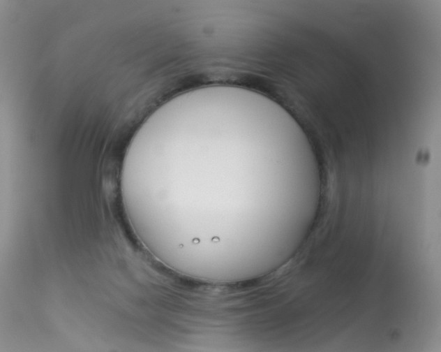 X0000113960074200909251036
