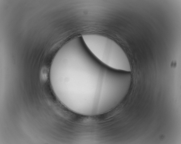 X0000113960075200909251036