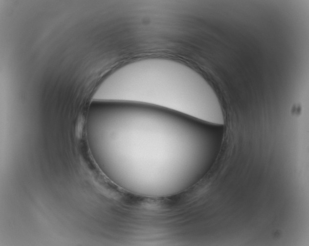 X0000113960076200909251036