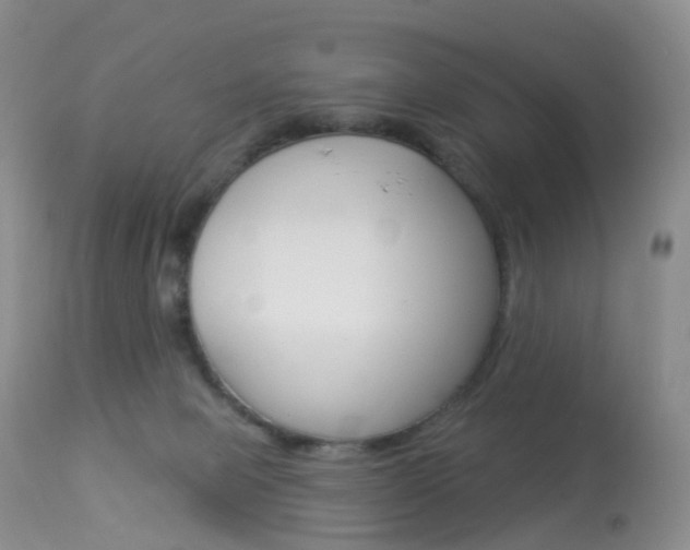 X0000113960077200909251036