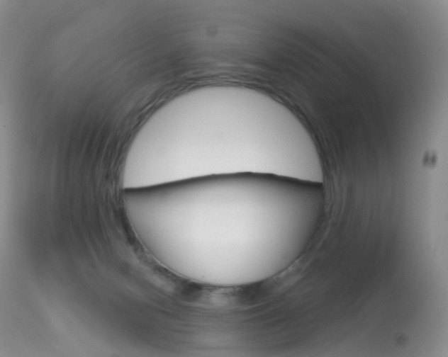 X0000113960078200909251037