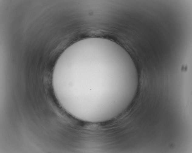 X0000113960079200909251037