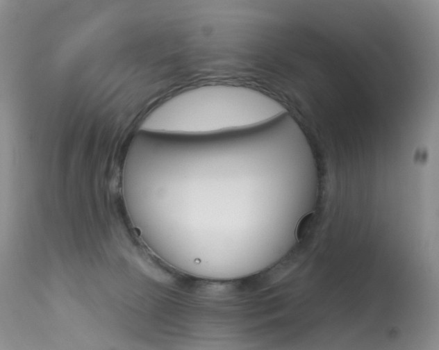 X0000113960081200909251037