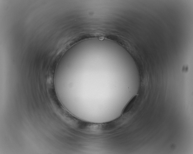 X0000113960084200909251037