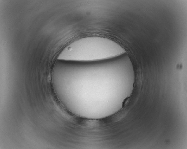 X0000113960085200909251037