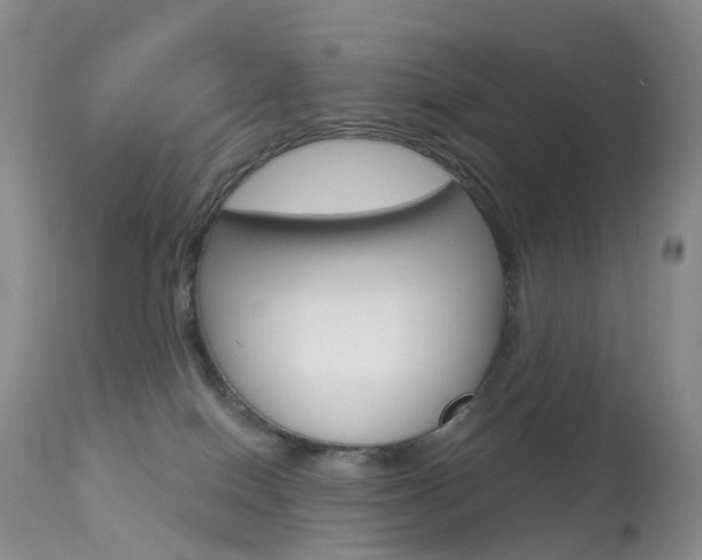 X0000113960086200909251037