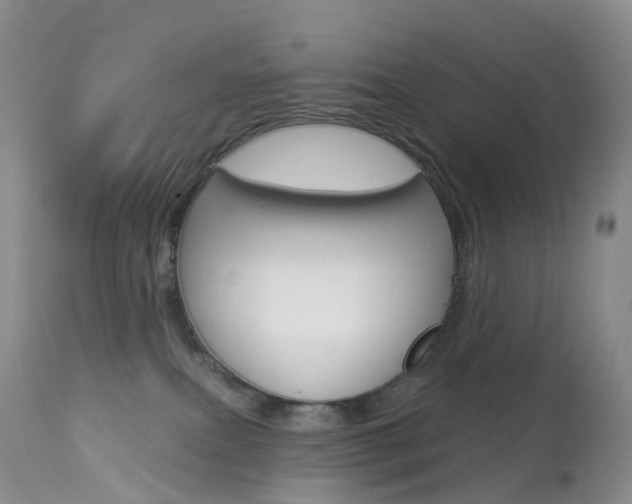 X0000113960087200909251037
