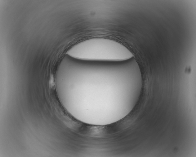 X0000113960089200909251037