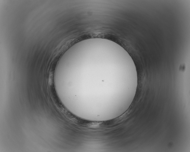 X0000113960090200909251037