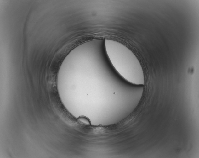 X0000113960091200909251037