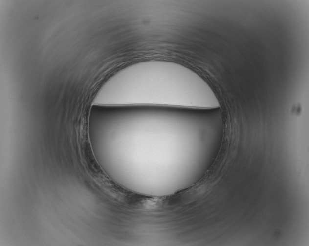 X0000113960092200909251037