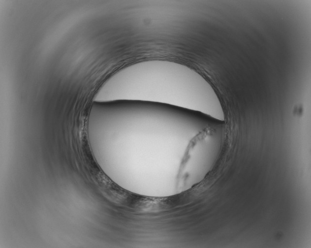 X0000113960093200909251037