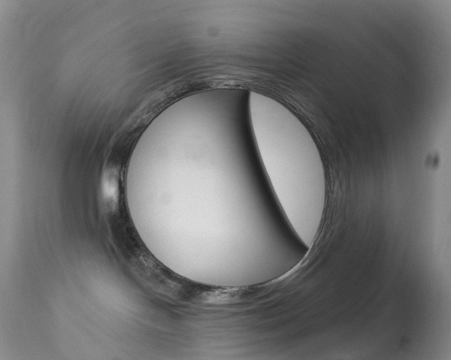X0000113960094200909251037