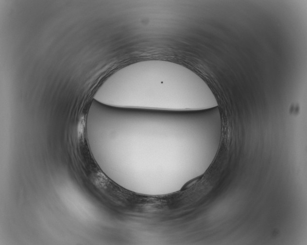 X0000113960095200909251037