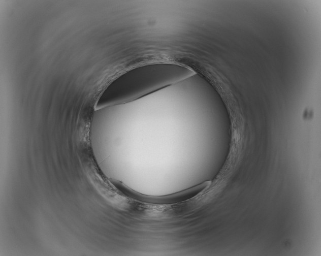 X0000113960096200909251037