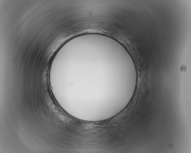X0000113960098200909251036