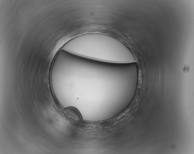 X0000113960099200909251036