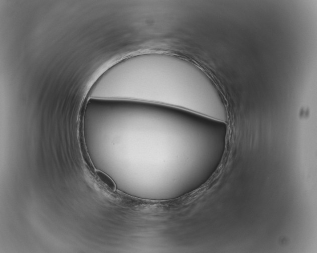 X0000113960100200909251036