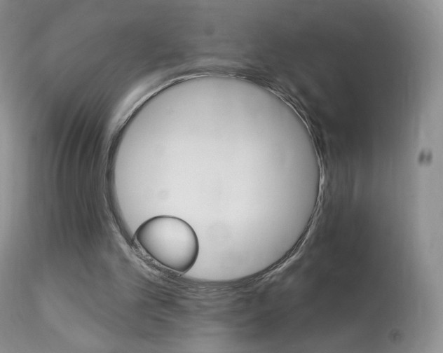 X0000113960101200909251036