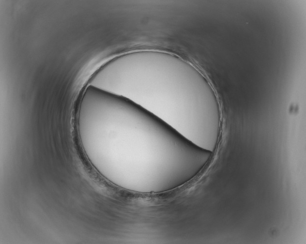 X0000113960103200909251036